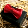 Галстук-бабочка BowTie Leather Red