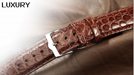 watch band luxury